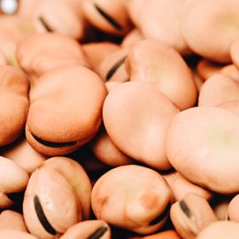 Olemme mukana Agri-Food Future 2024 -seminaarissa 16.1.2024 – tervetuloa! Härkäpapuja.